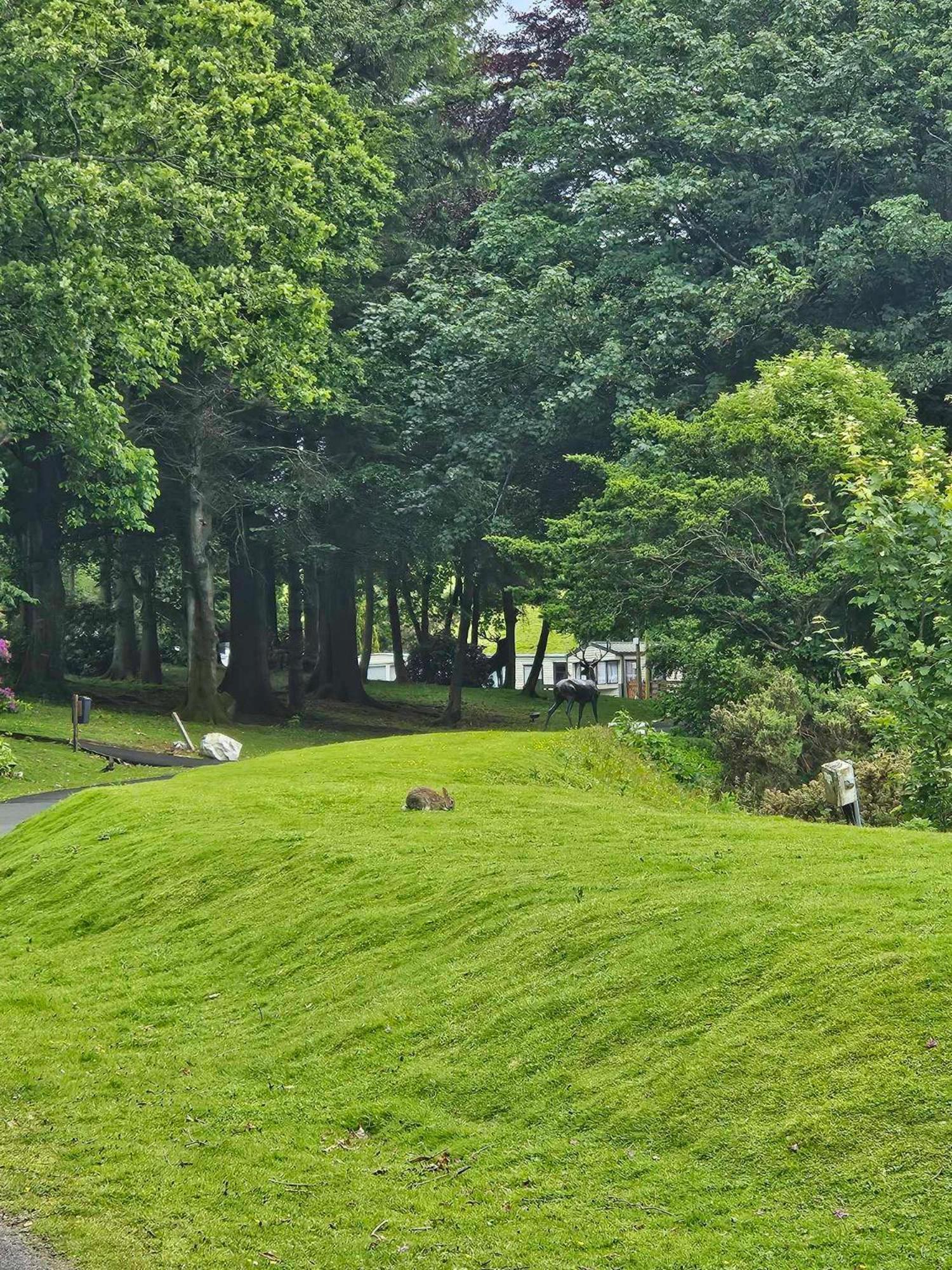 Ballantrae The Sunny Bunny Holiday Home מראה חיצוני תמונה